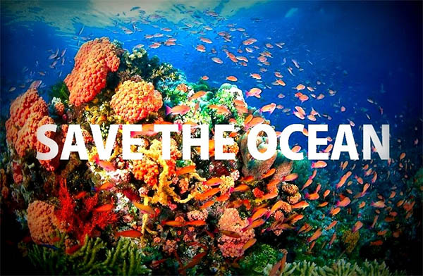 How You Can Help Conserve Our Oceans In 2020