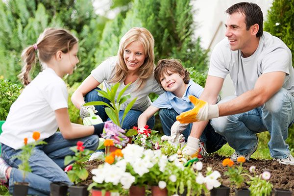 Ways To Get The Family In The Garden