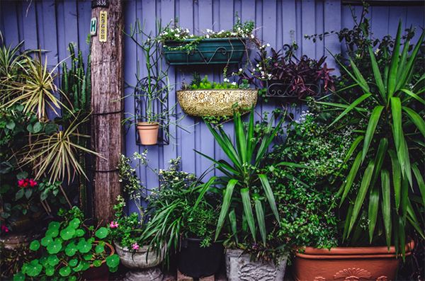 5 Factors To Consider When Picking A Garden Workshop