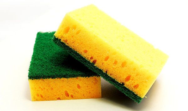 Beware of the Sponge