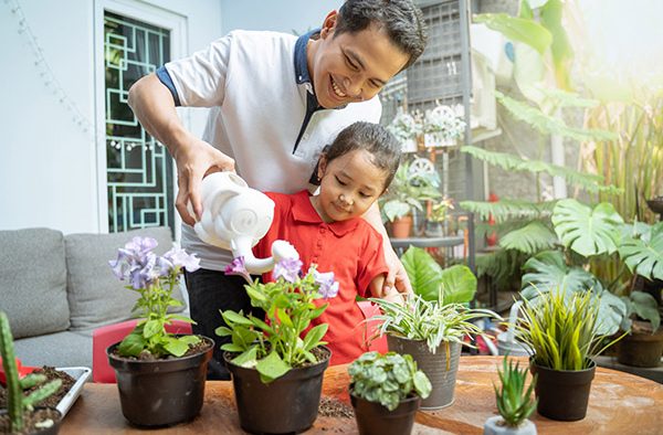 The Joys Of Gardening With Ace Hardware